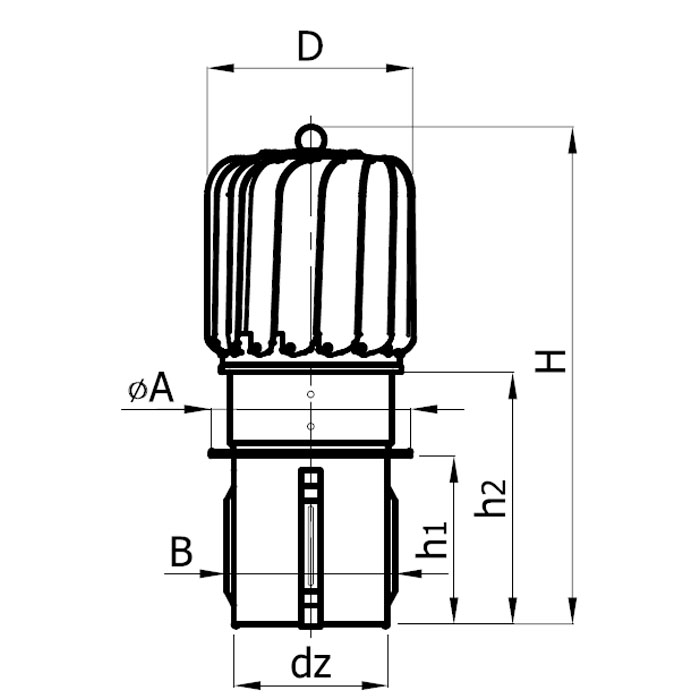 Rys-1-2.jpg